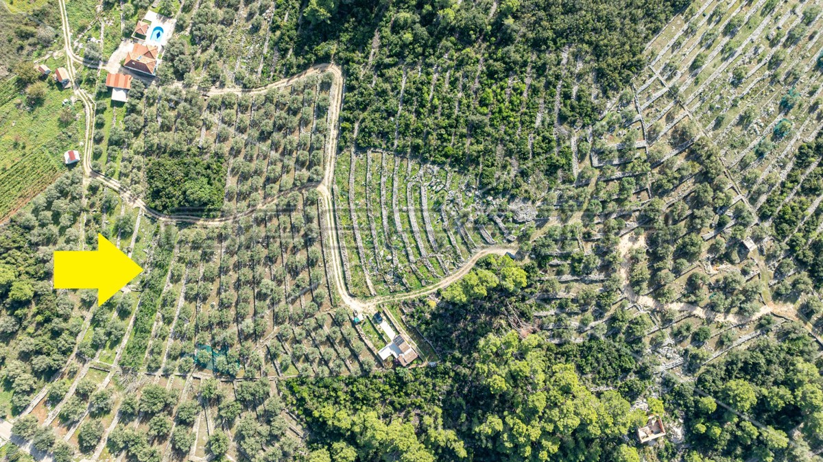 Terreno agricolo a Korčula – 14.406 m2 per sviluppo e investimento