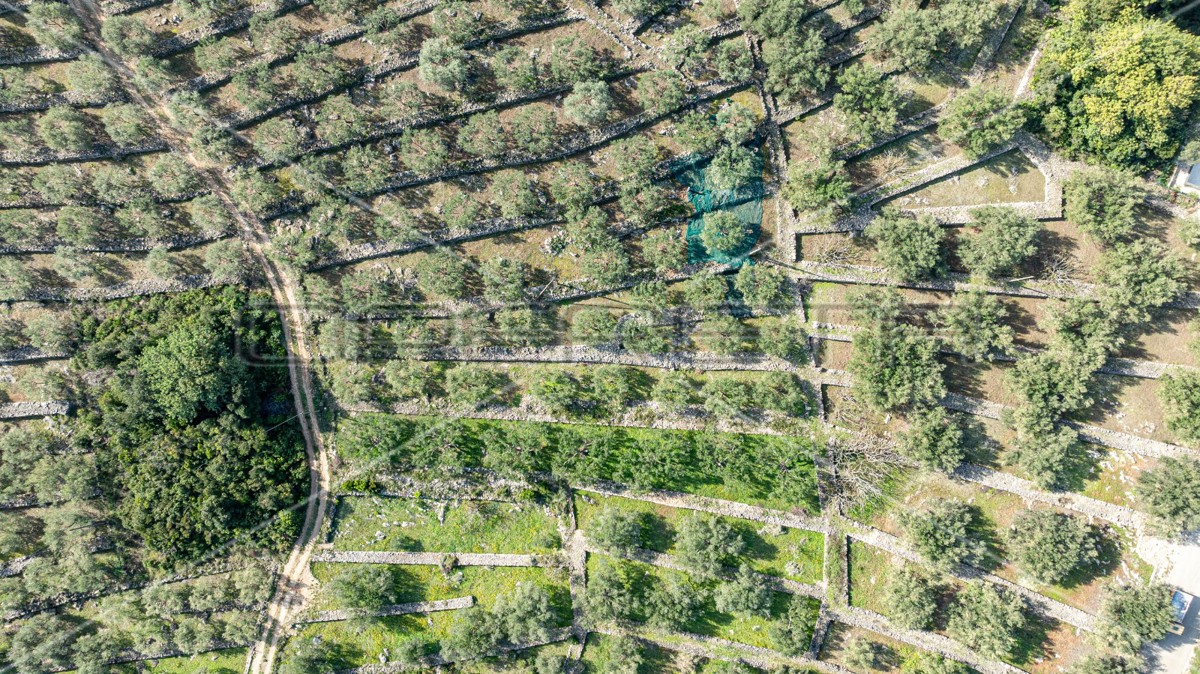 Terreno agricolo a Korčula – 14.406 m2 per sviluppo e investimento