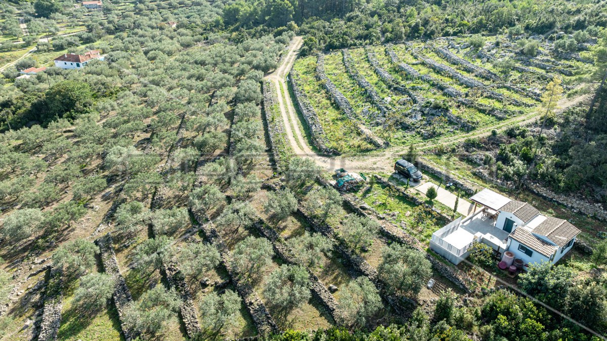 Terreno agricolo a Korčula – 14.406 m2 per sviluppo e investimento