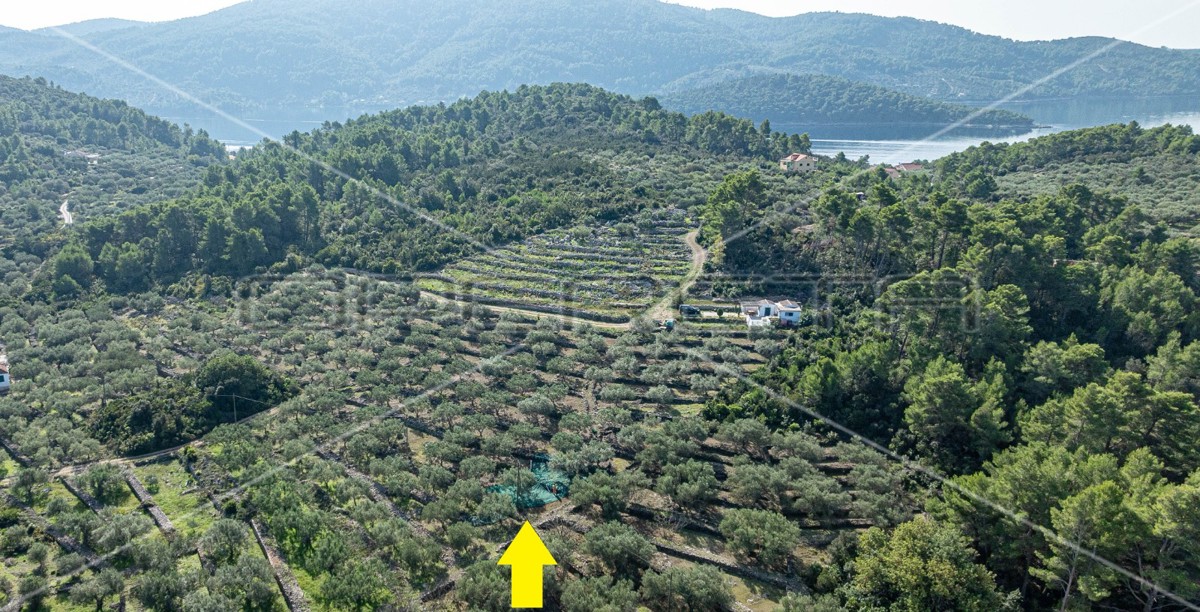 Terreno agricolo a Korčula – 14.406 m2 per sviluppo e investimento