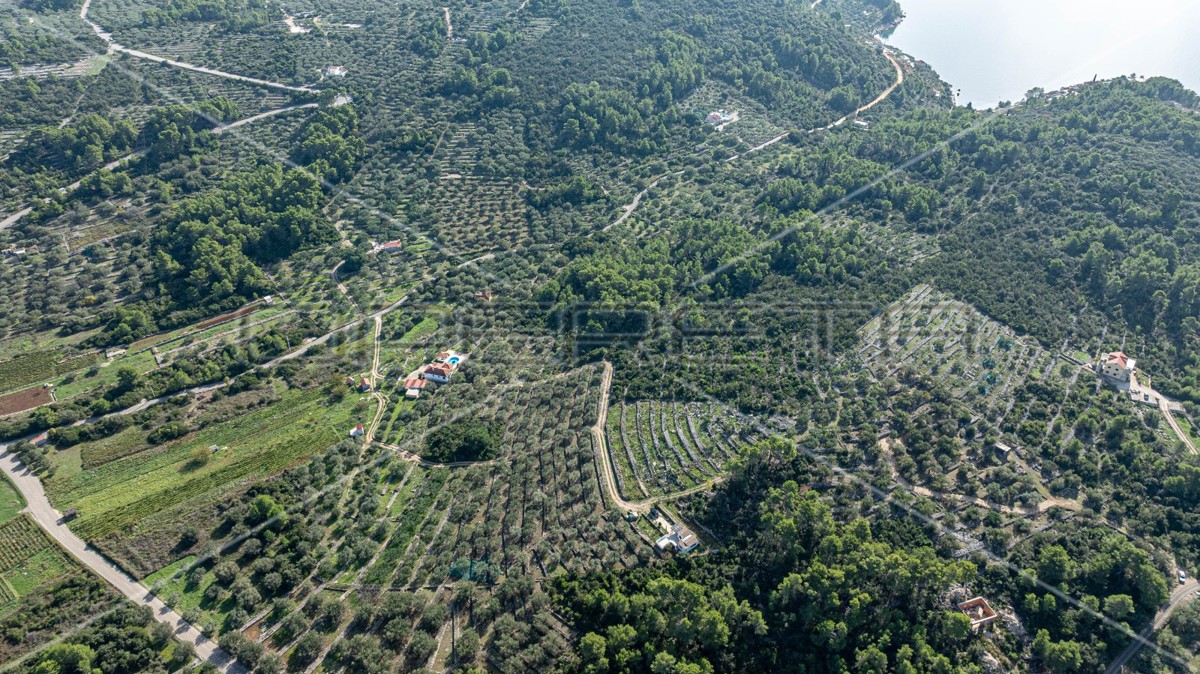 Terreno agricolo a Korčula – 14.406 m2 per sviluppo e investimento