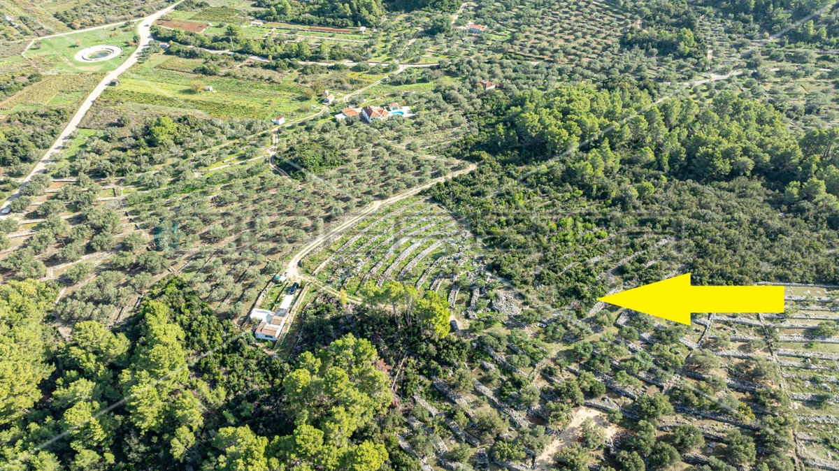 Terreno agricolo a Korčula – 14.406 m2 per sviluppo e investimento