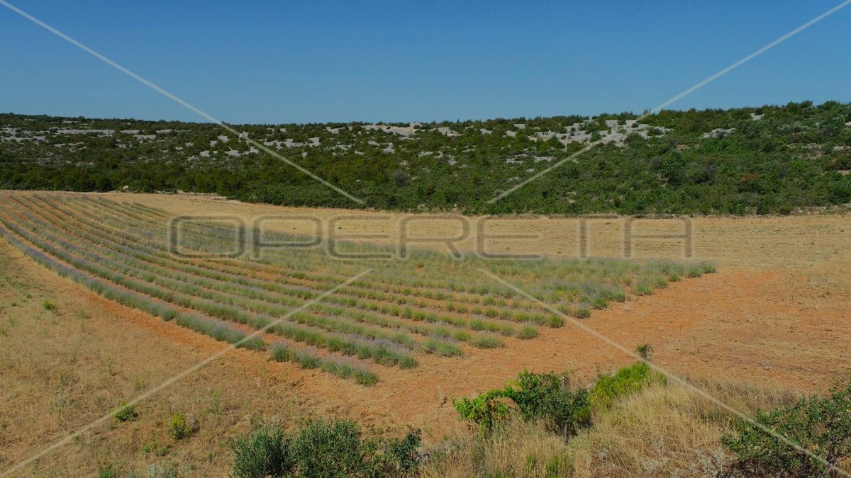 Proprietà ecologica, Jasenice, potenziale per costruzione e investimento