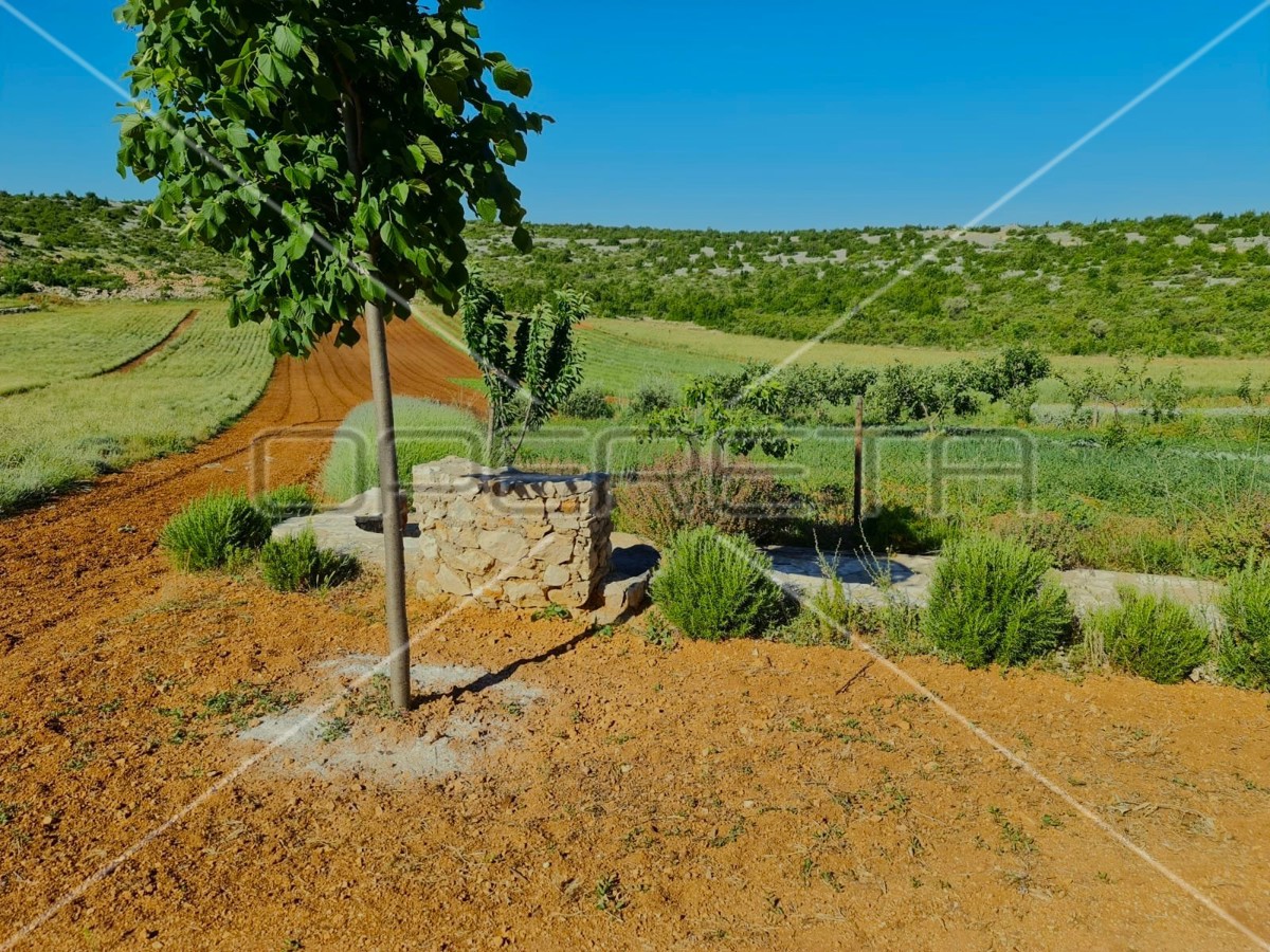 Proprietà ecologica, Jasenice, potenziale per costruzione e investimento