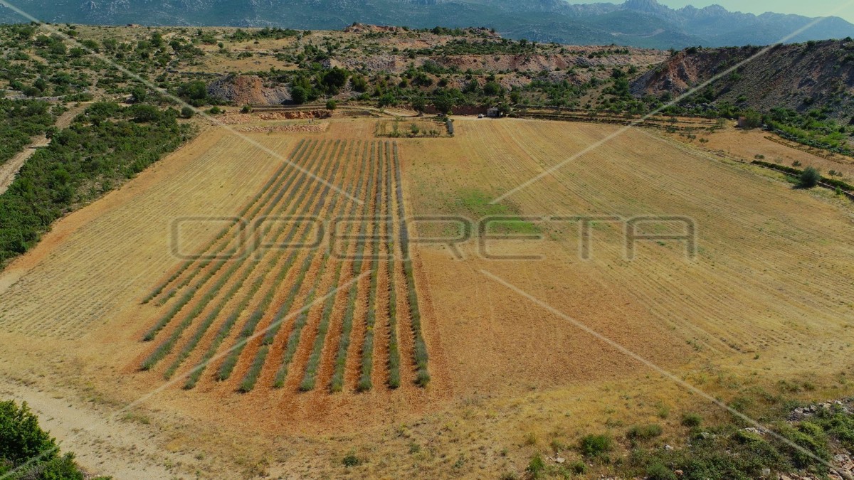 Proprietà ecologica, Jasenice, potenziale per costruzione e investimento