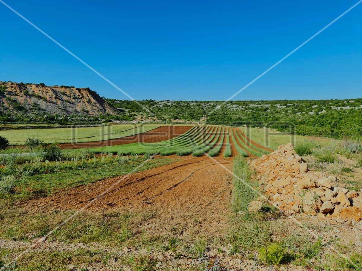 Proprietà ecologica, Jasenice, potenziale per costruzione e investimento