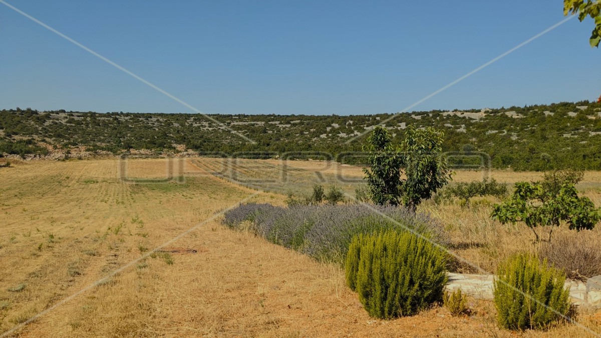 Proprietà ecologica, Jasenice, potenziale per costruzione e investimento