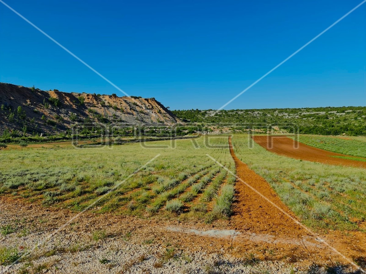 Proprietà ecologica, Jasenice, potenziale per costruzione e investimento