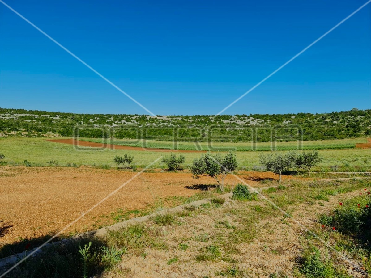 Proprietà ecologica, Jasenice, potenziale per costruzione e investimento