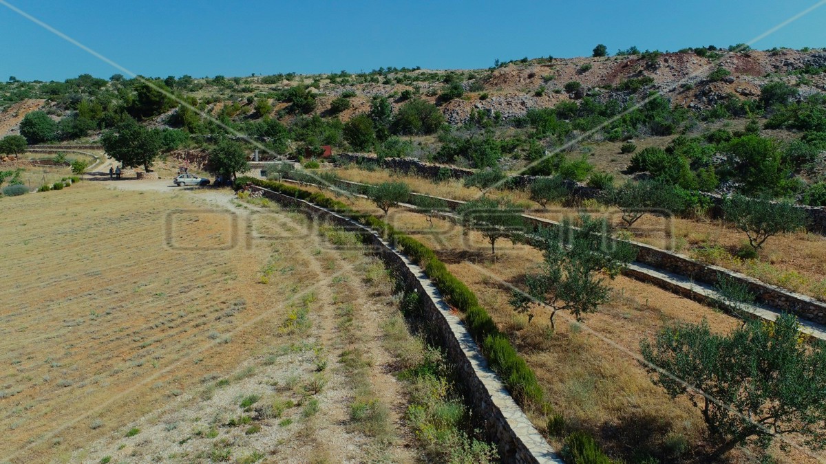 Proprietà ecologica, Jasenice, potenziale per costruzione e investimento