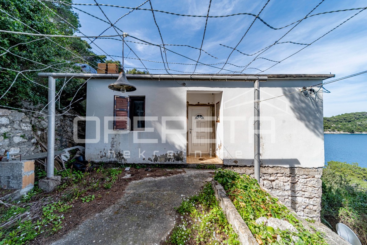 Isola di Mljet – Casa sul mare con terreno per coltivazioni mediterranee