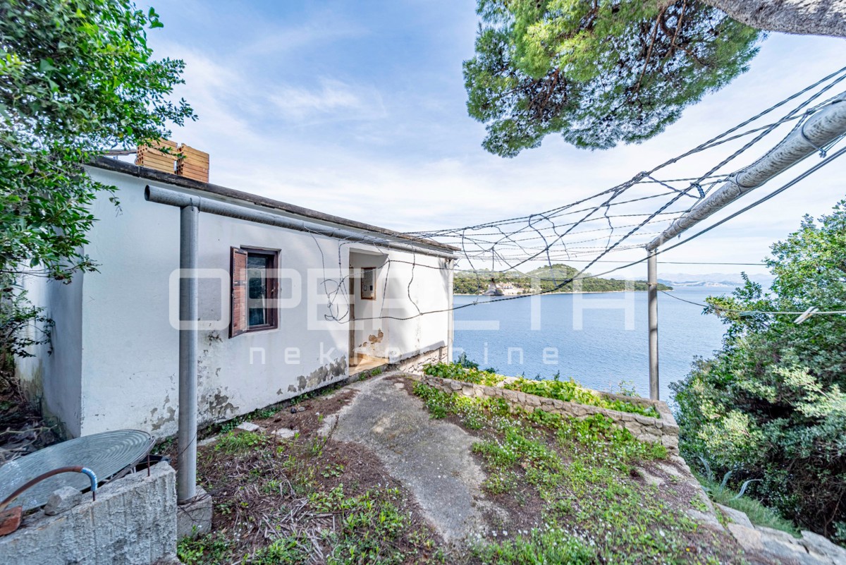 Isola di Mljet – Casa sul mare con terreno per coltivazioni mediterranee