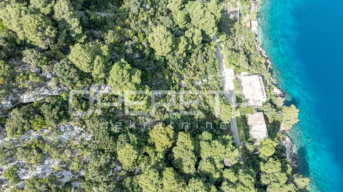 Isola di Mljet – Casa sul mare con terreno per coltivazioni mediterranee