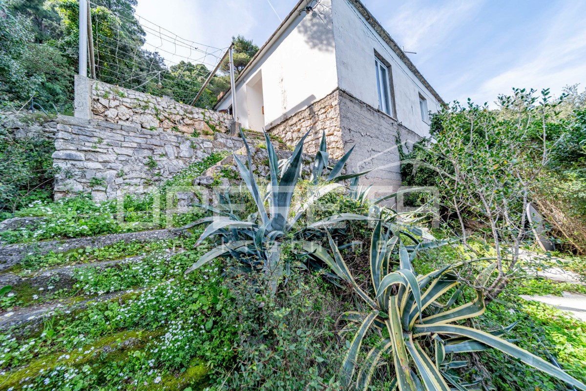 Isola di Mljet – Casa sul mare con terreno per coltivazioni mediterranee