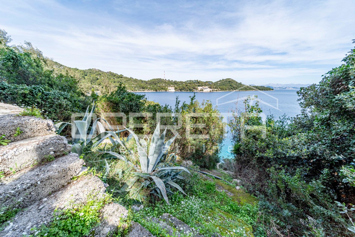 Isola di Mljet – Casa sul mare con terreno per coltivazioni mediterranee