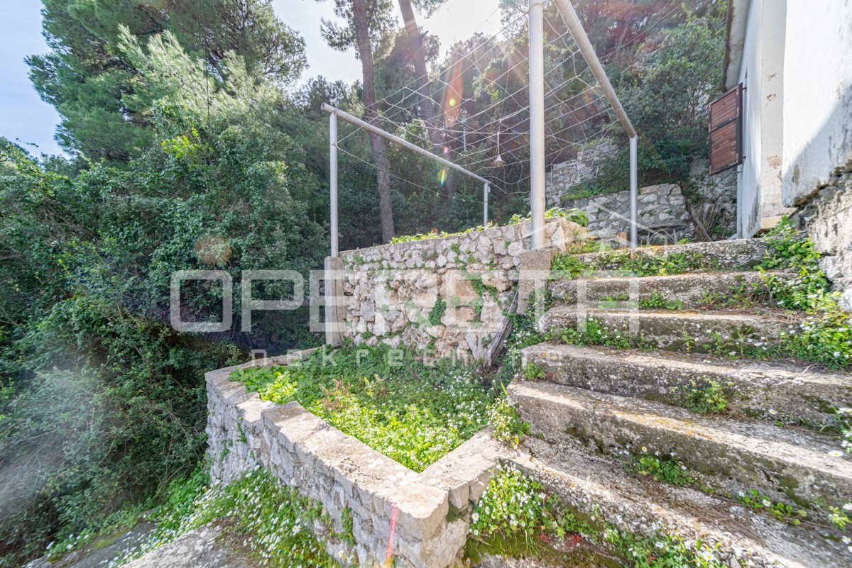 Isola di Mljet – Casa sul mare con terreno per coltivazioni mediterranee