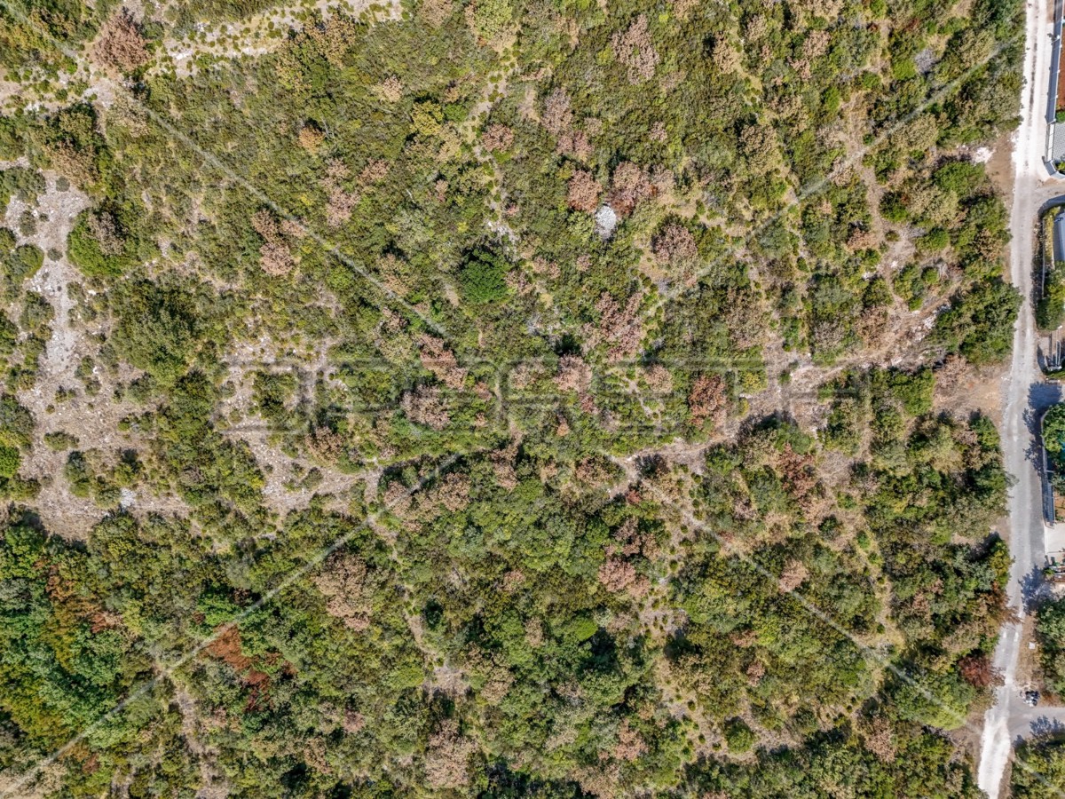 Istria, Vodnjan - dintorni, terreno agricolo 21486 m2