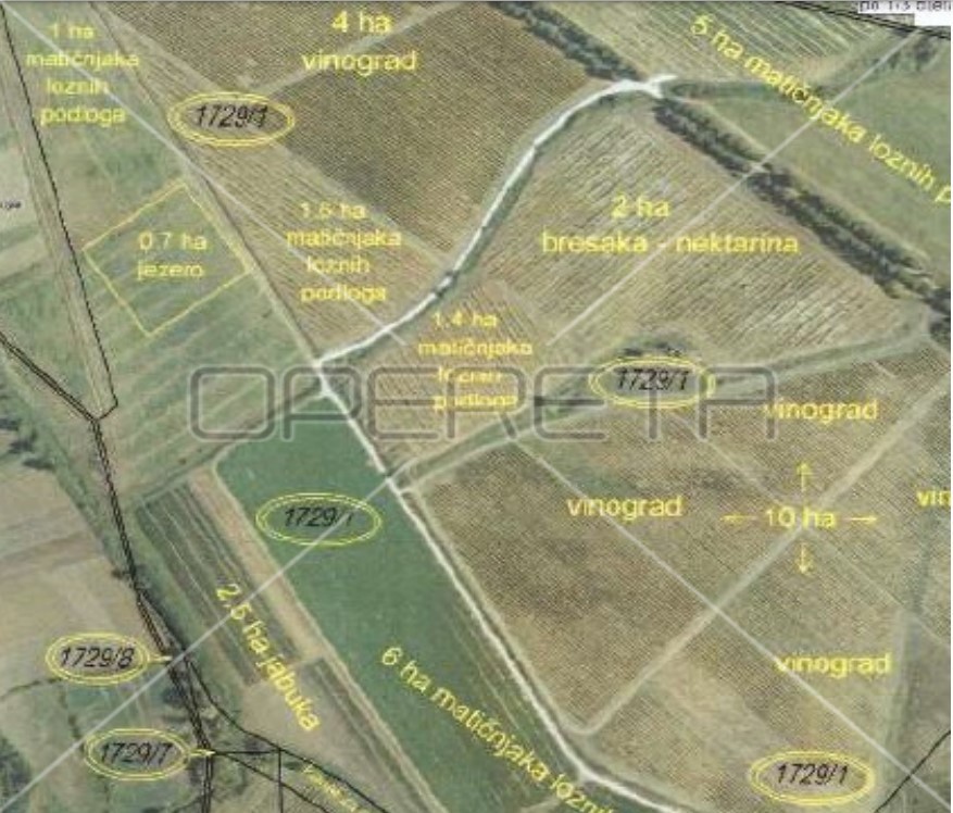 Grgurice, Poličnik, 511.213,00 m2, 4.500.001,00 EUR