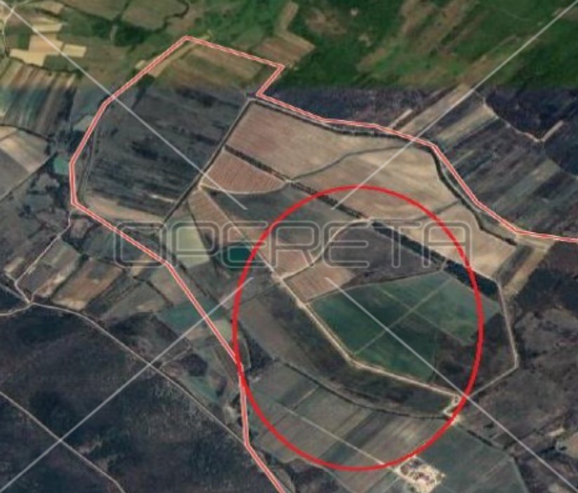 Grgurice, Poličnik, 511.213,00 m2, 4.500.001,00 EUR