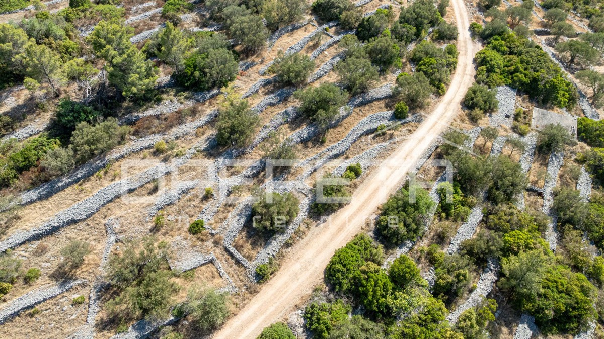 Terreno con carattere e potenziale – 932 m2 immerso nella natura