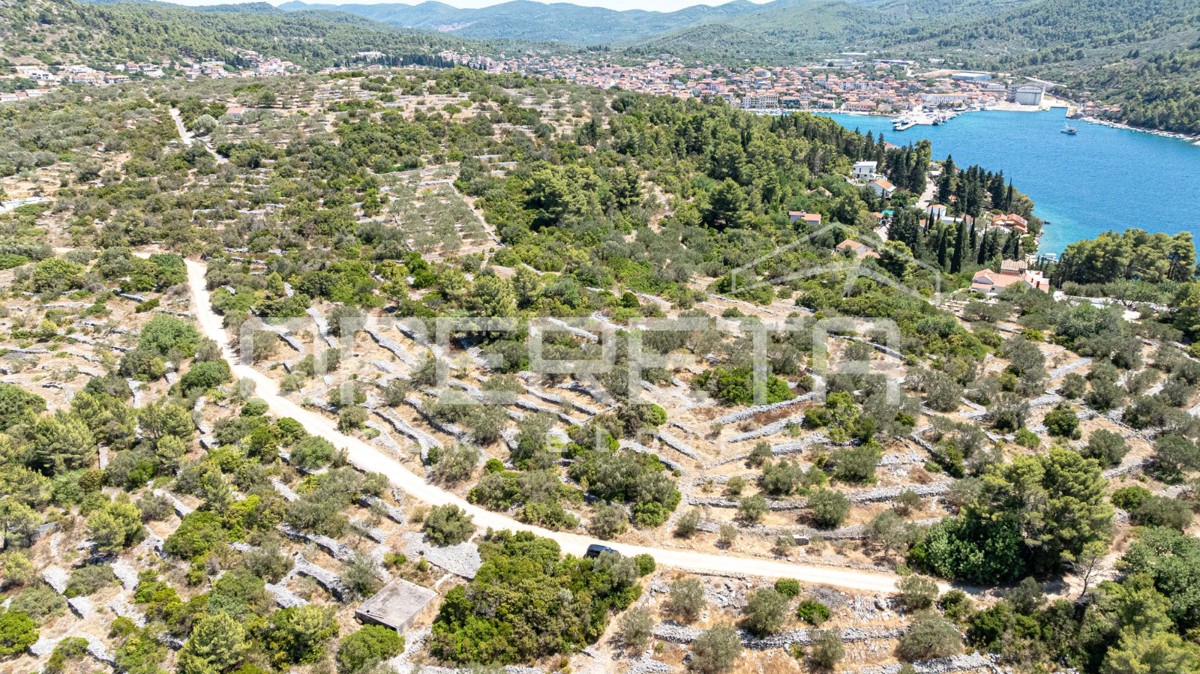 Terreno con carattere e potenziale – 932 m2 immerso nella natura