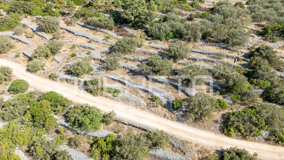 Terreno con carattere e potenziale – 932 m2 immerso nella natura