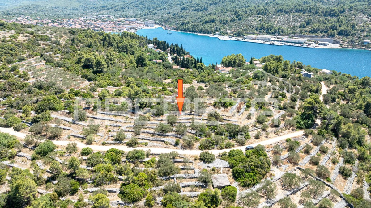 Terreno con carattere e potenziale – 932 m2 immerso nella natura