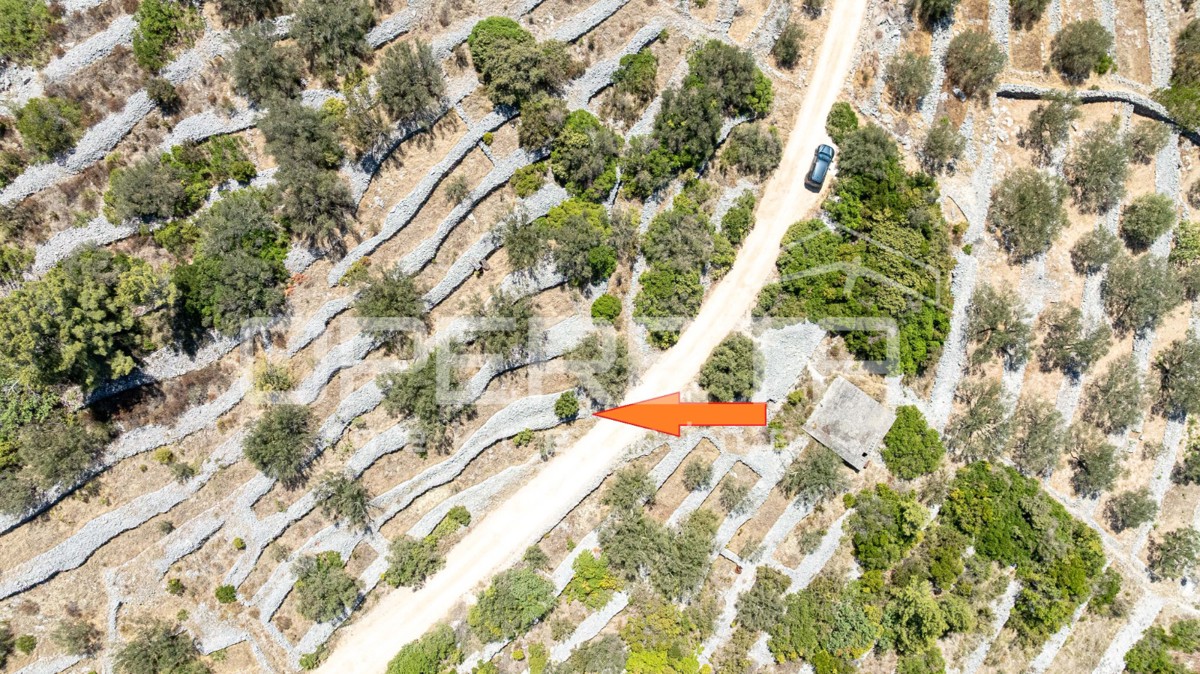 Terreno con carattere e potenziale – 932 m2 immerso nella natura