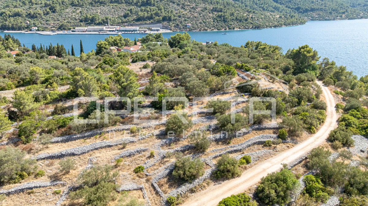 Terreno con carattere e potenziale – 932 m2 immerso nella natura