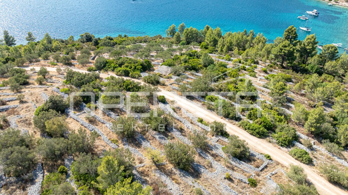 Terreno con carattere e potenziale – 932 m2 immerso nella natura