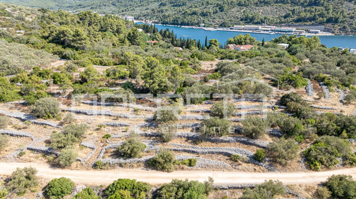 Terreno con carattere e potenziale – 932 m2 immerso nella natura