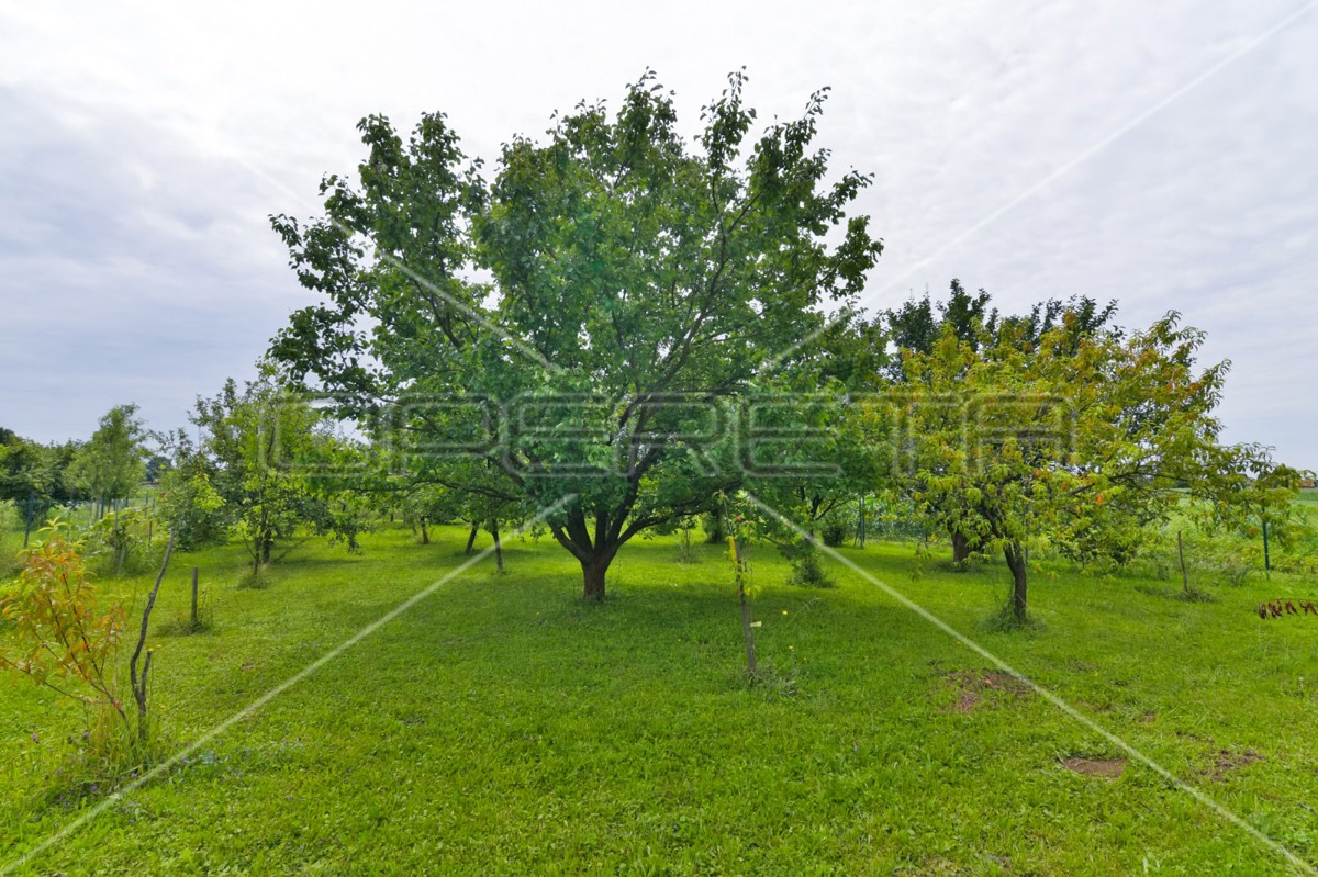 Vendita, Casa, Strmec, Savska, Indipendente, 360m2