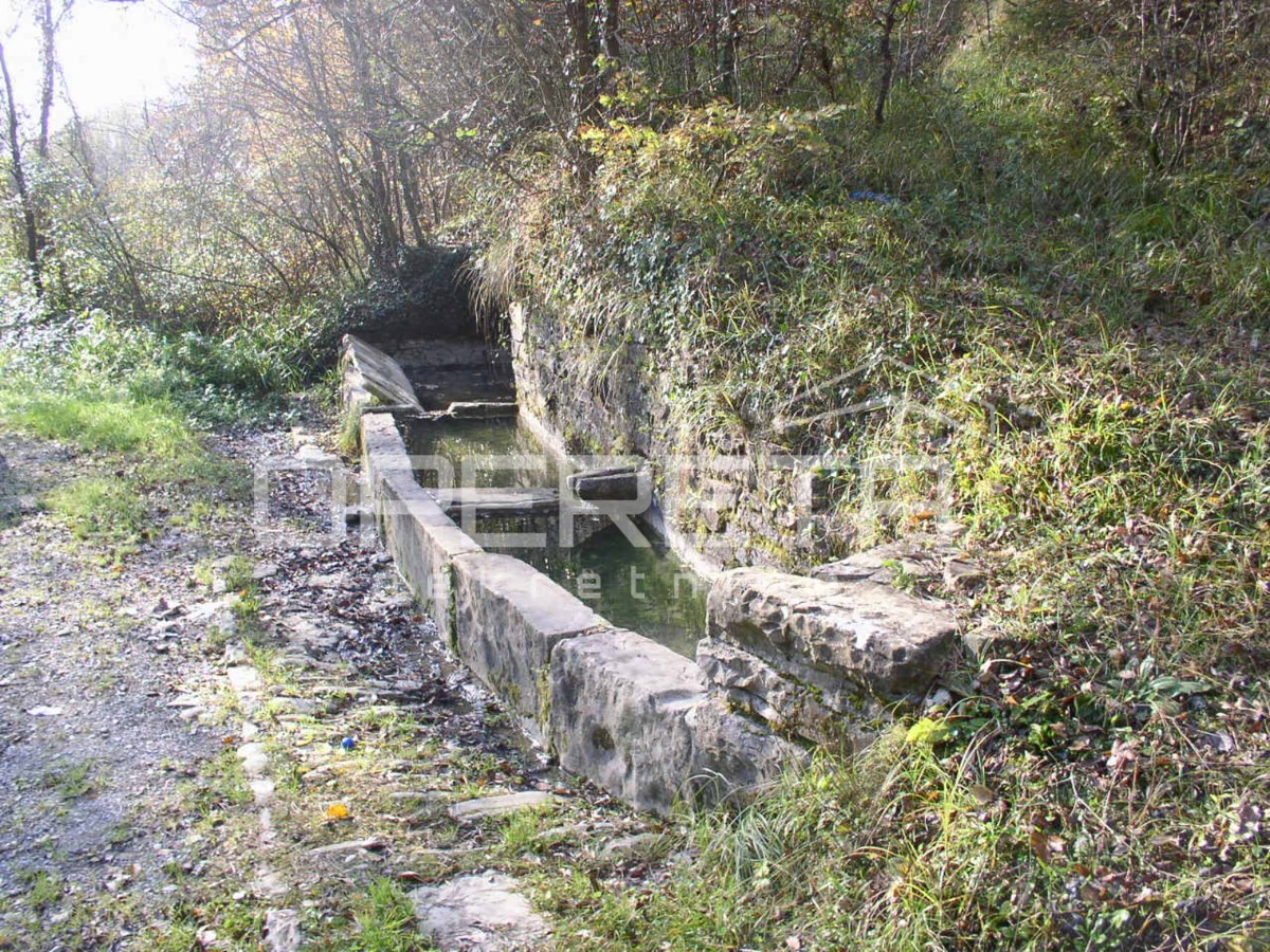 Vendita, Casa, Motovun, Livade, Indipendente, 200m2