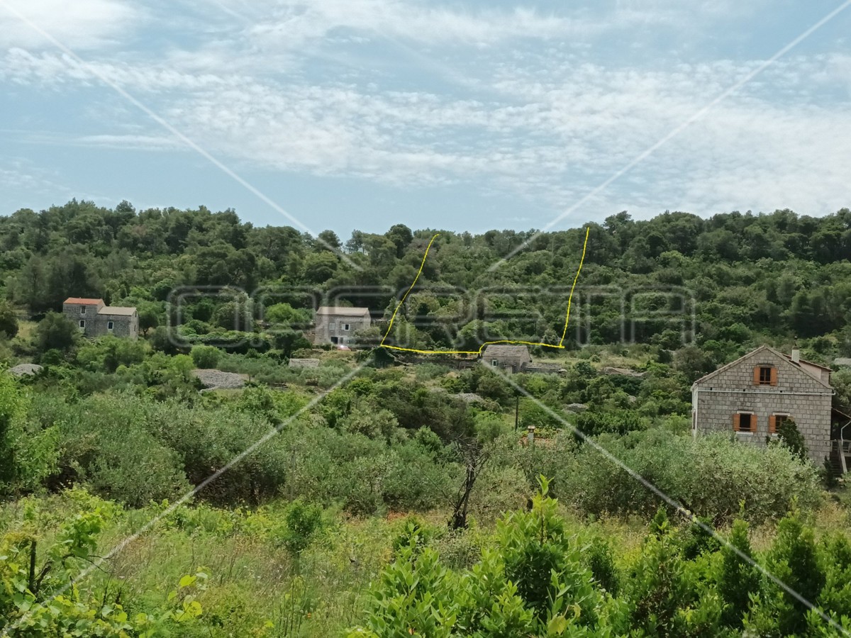 Gornje Kunjanovo, Vis, 5.002,00 m2, 76.006,00 EUR