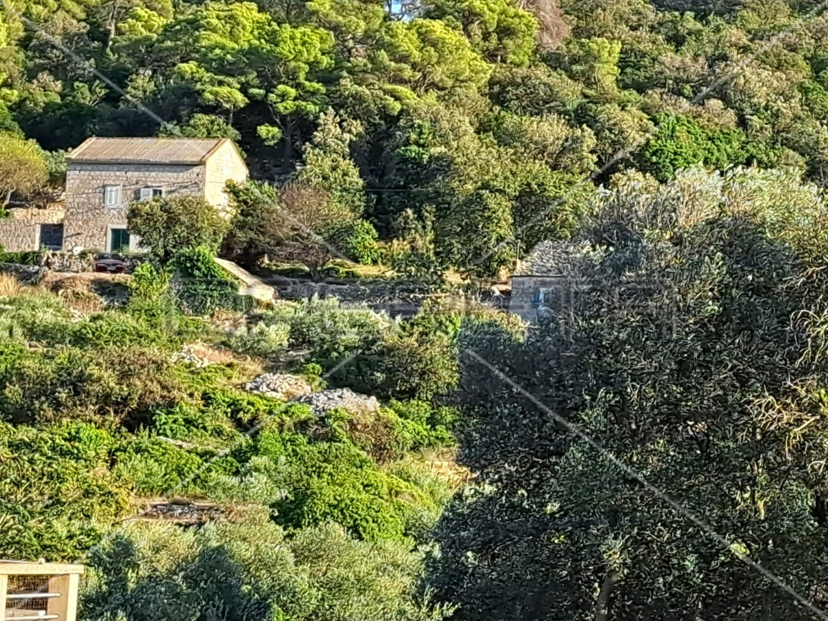 Gornje Kunjanovo, Vis, 5.002,00 m2, 76.006,00 EUR