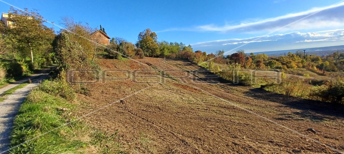 Capekov put, Bizek, 4.897,00 m2, 342.790,00 EUR