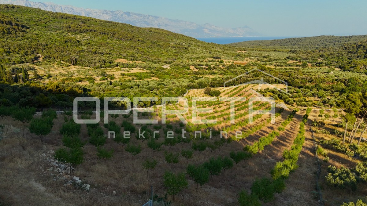Terreno agricolo con 500 mandorli e vista mare, Brač