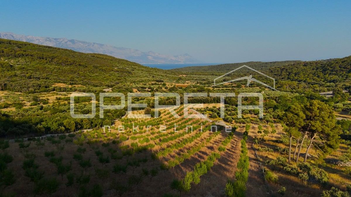 Terreno agricolo con 500 mandorli e vista mare, Brač