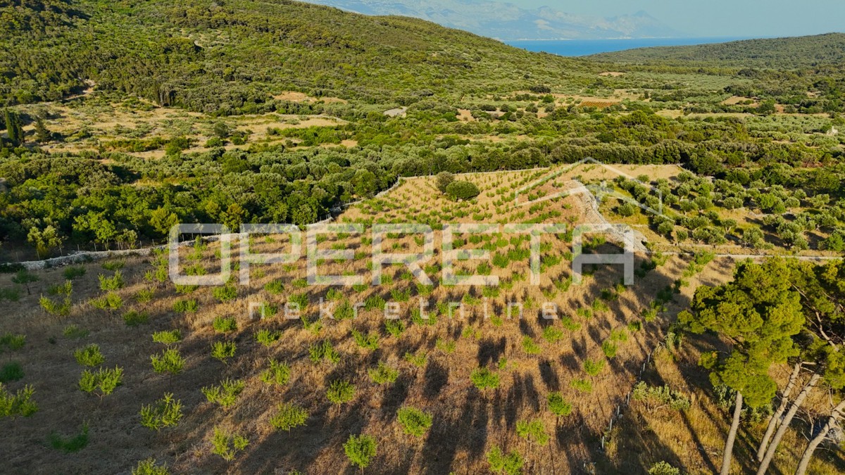 Terreno agricolo con 500 mandorli e vista mare, Brač