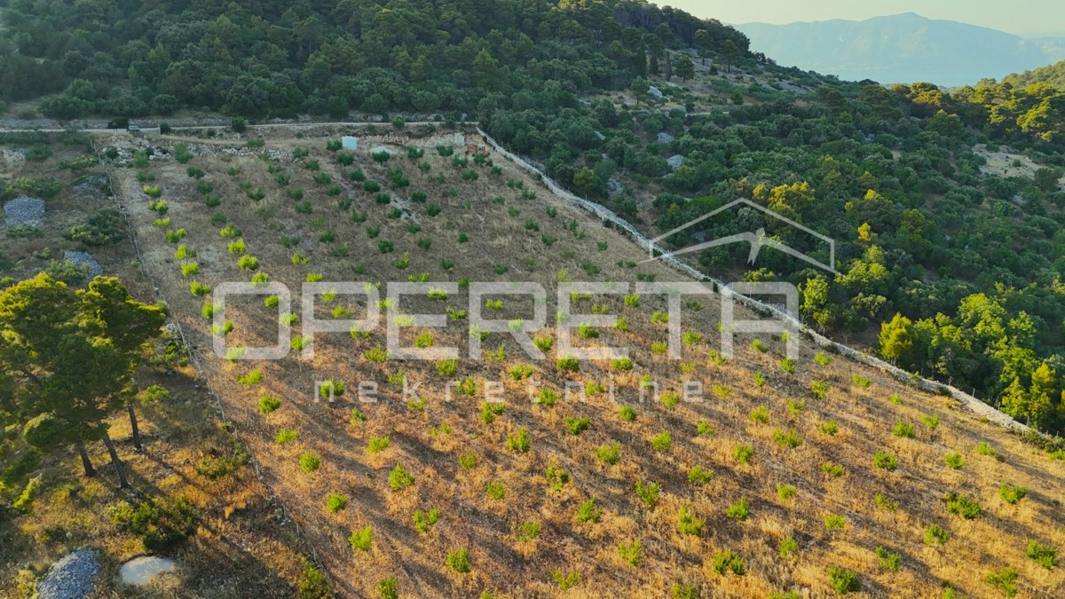 Terreno agricolo con 500 mandorli e vista mare, Brač