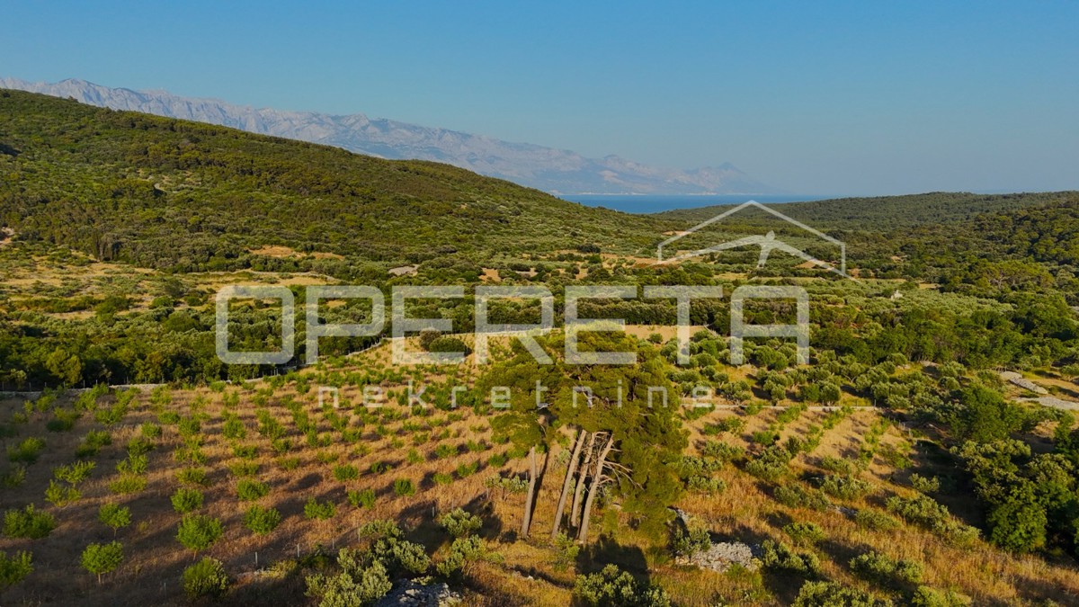 Terreno agricolo con 500 mandorli e vista mare, Brač