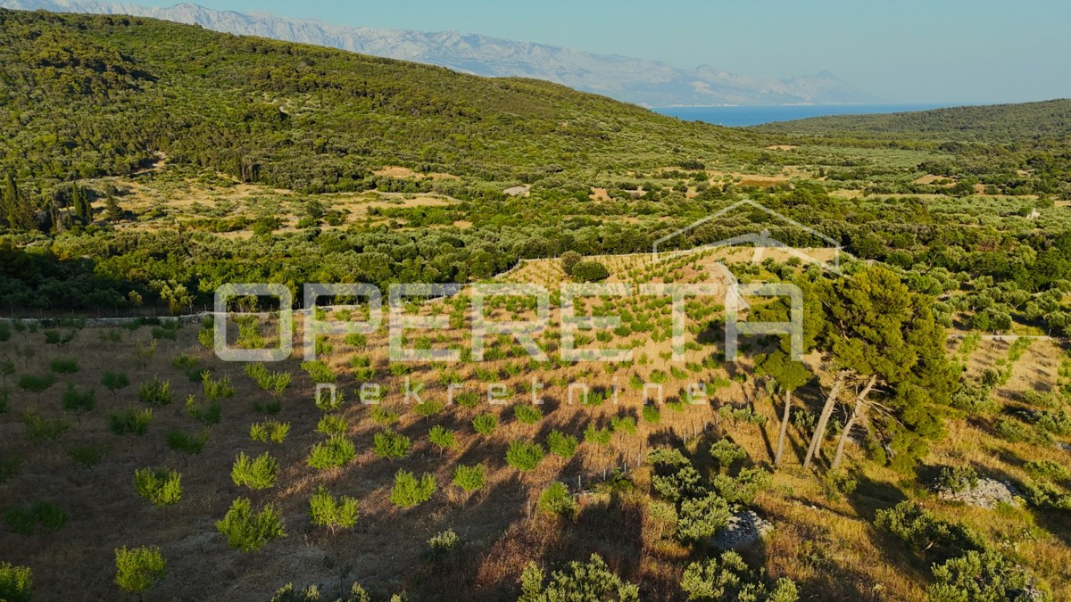 Terreno agricolo con 500 mandorli e vista mare, Brač
