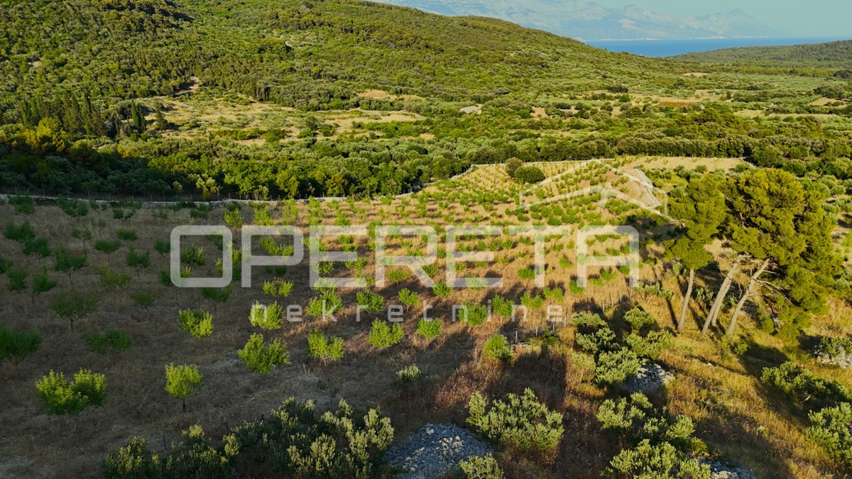 Terreno agricolo con 500 mandorli e vista mare, Brač