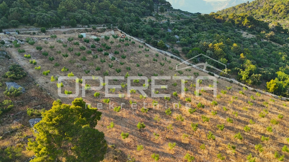 Terreno agricolo con 500 mandorli e vista mare, Brač