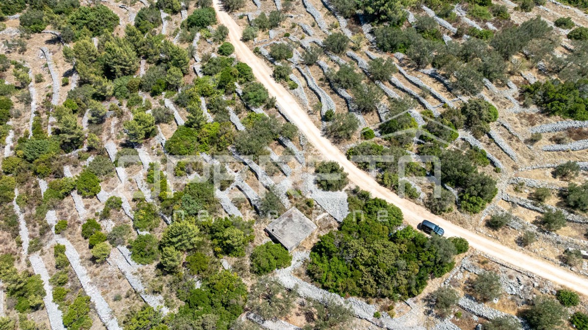 Terreno vicino al mare con struttura e ulivi, 582 m2 – Vela Luka