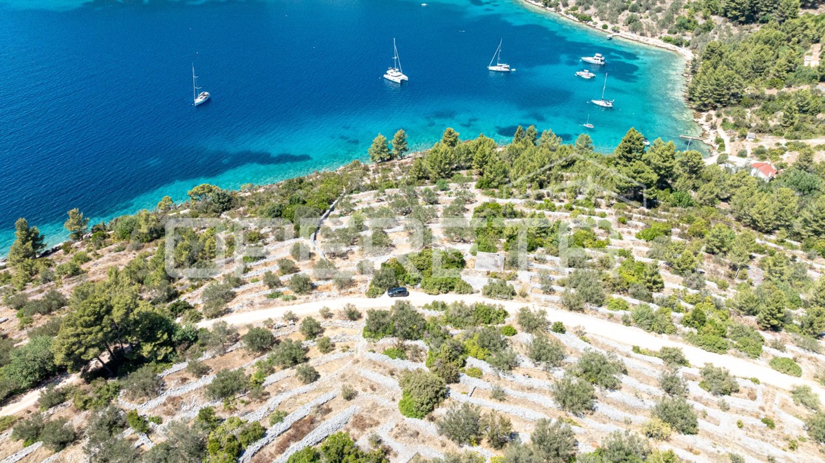 Terreno vicino al mare con struttura e ulivi, 582 m2 – Vela Luka