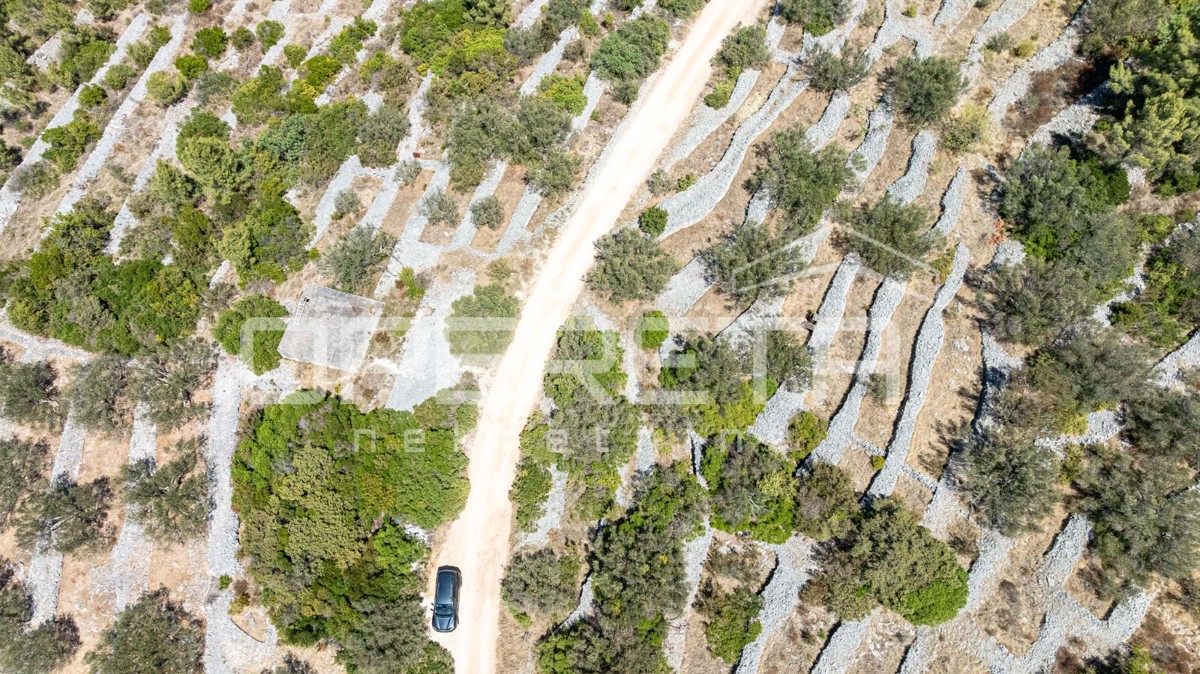 Terreno vicino al mare con struttura e ulivi, 582 m2 – Vela Luka