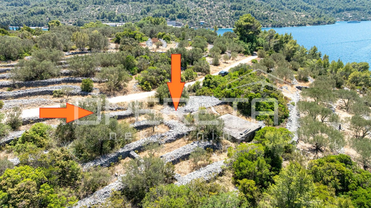 Terreno vicino al mare con struttura e ulivi, 582 m2 – Vela Luka