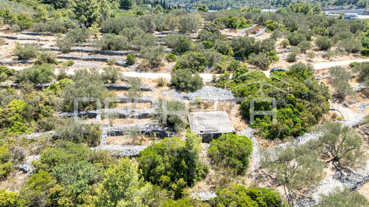 Terreno vicino al mare con struttura e ulivi, 582 m2 – Vela Luka