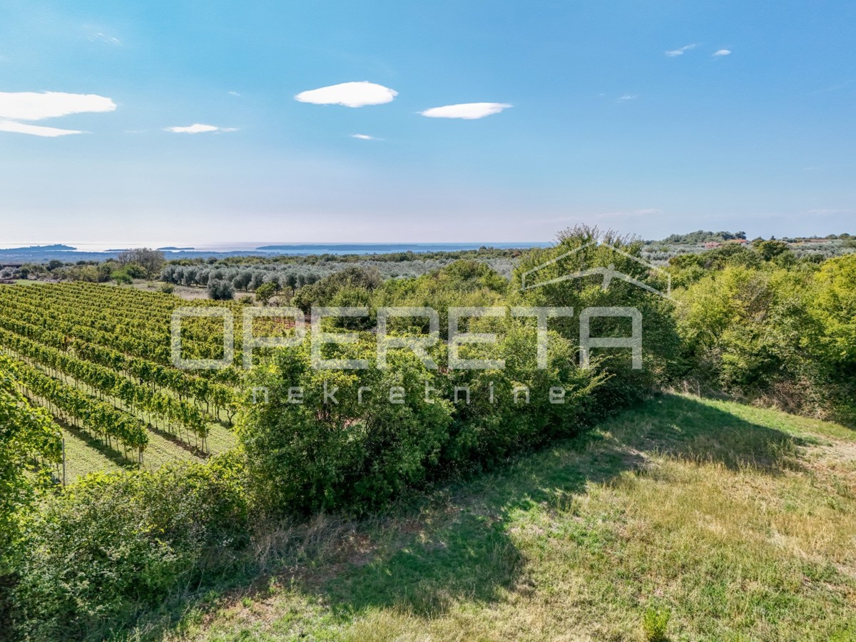 Vodnjan, Vodnjan, 897,00 m2, 187.000,00 EUR